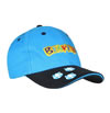 Beaver cap 